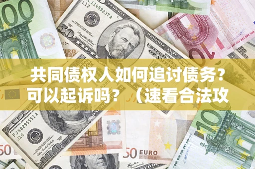 济南共同债权人如何追讨债务？可以起诉吗？（速看合法攻略）